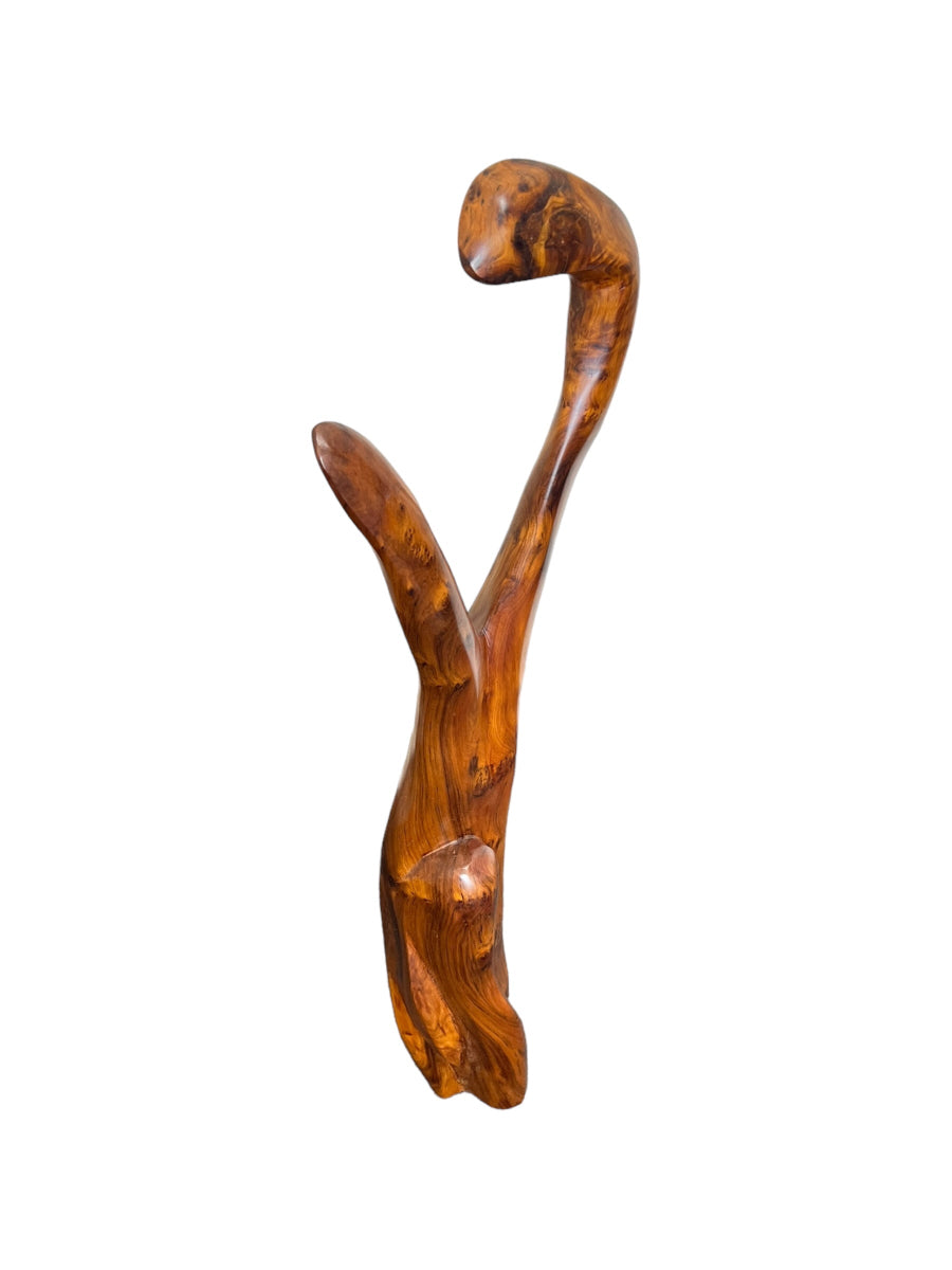Arar Senrara Sculpture | Handcrafted Arar Thuya Wood Decor – Unique Moroccan Wood