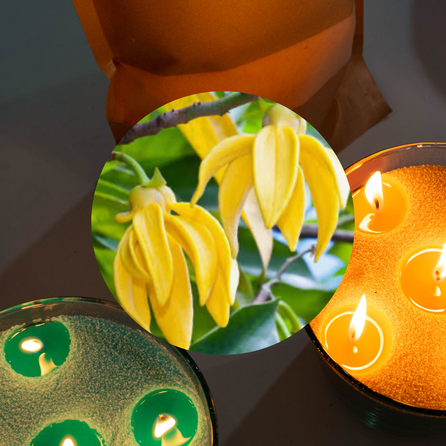 Ylang Ylang