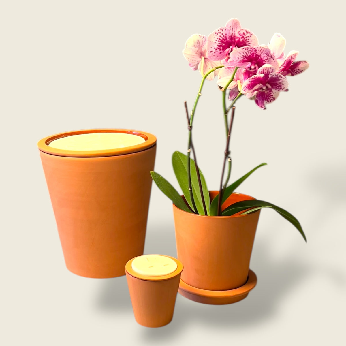 Dary Living’s signature Nora Brute candle — handcrafted in raw terracotta clay, offering a warm glow and lasting use as a planter or décor piece."