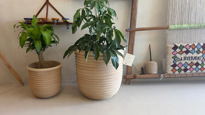 Why Terracotta Is the Ultimate Material for Indoor and Outdoor Planters