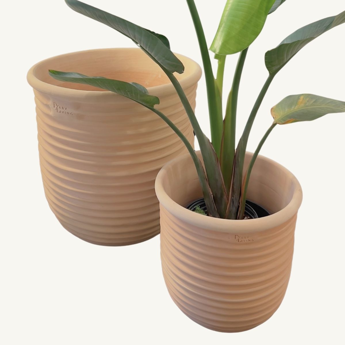 homemade clay plant pots Moro