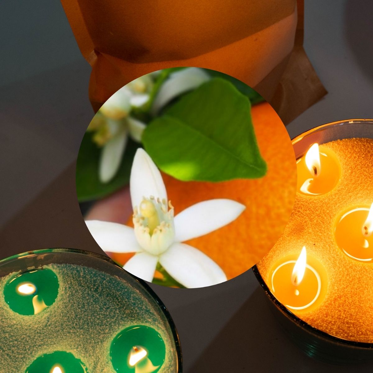 Orange Blossom is a pure organic candle essential oil distilled from Ourika Valley botanicals in Marrakesh, Morocco. Its fresh, sweet floral aroma is perfect for uplifting moods, aromatherapy, and brightening serene home spaces.
