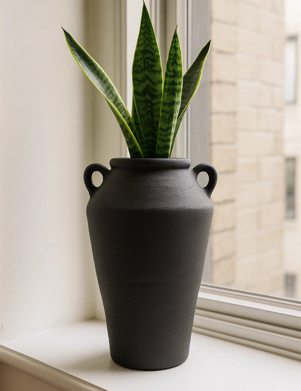 Product photo from review